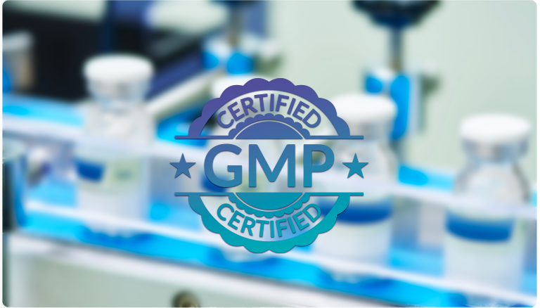 GMP Case Study