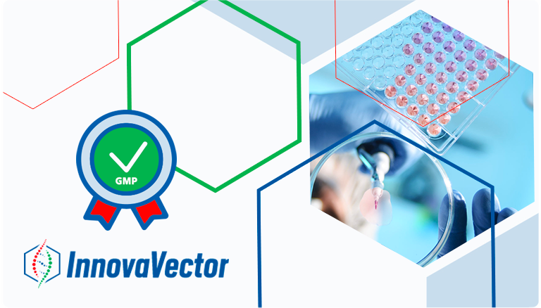 Innovavector Case Study